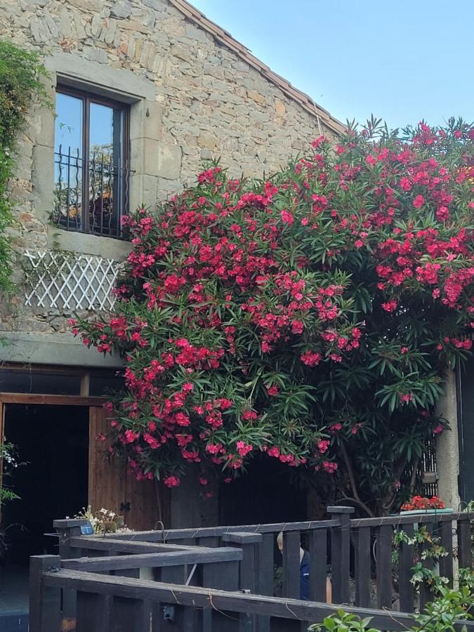 Apartamento Le Studio Azille Exterior foto